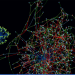 DOE’s free software helps defend solar projects from cyberattacks