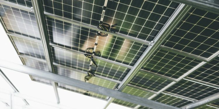 Effective Blog Promotion: Strategies to Increase Your Reach