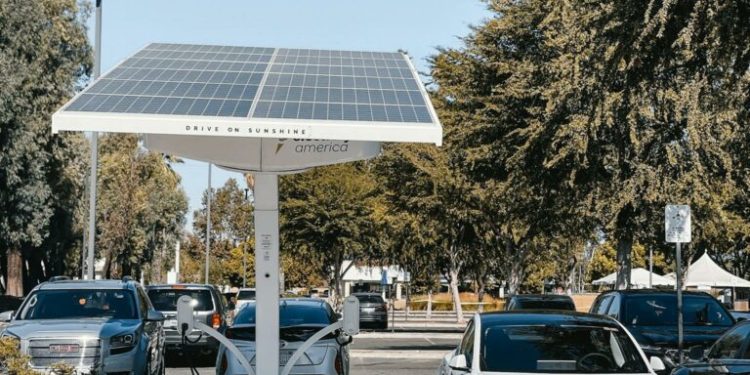 Building a Loyal Blog Audience: Strategies for Engagement and Growth