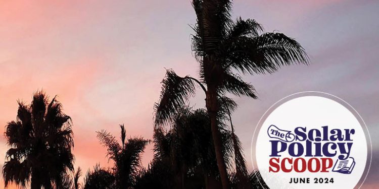The Solar Policy Scoop: June 2024