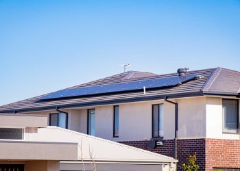 Which One is Right for You?