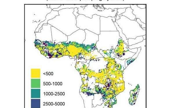 Solutions to optimize the use of solar energy in irrigation communities