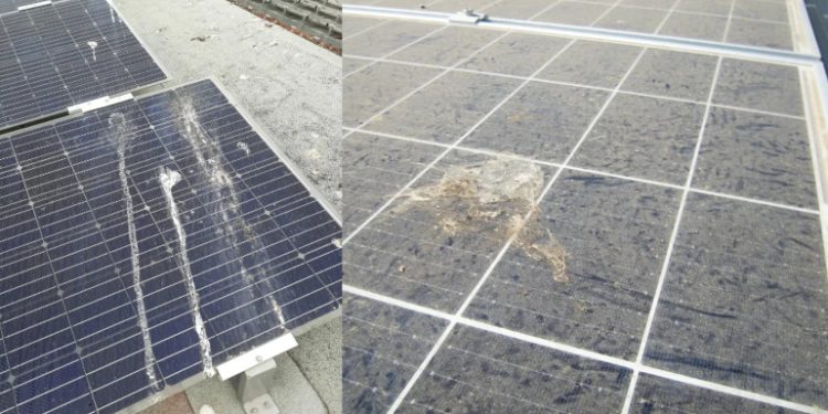 Soilar Tech launches solar panel cleaning classes for NABCEP credits