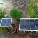 Which is the best solar panel for soil-less farming?