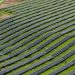 NOVA Infrastructure purchases community solar provider UGE