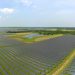 Enel brings 326-MW solar, 86-MW storage project online for Nestlé in Texas