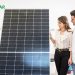 The Best Way to Buy Solar Panels for Your Home