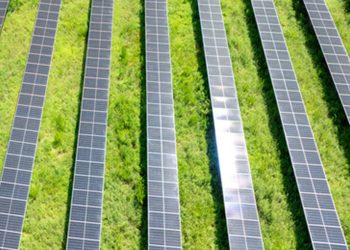 Chaberton Energy starts work on new 2.9-MW Maryland community solar project