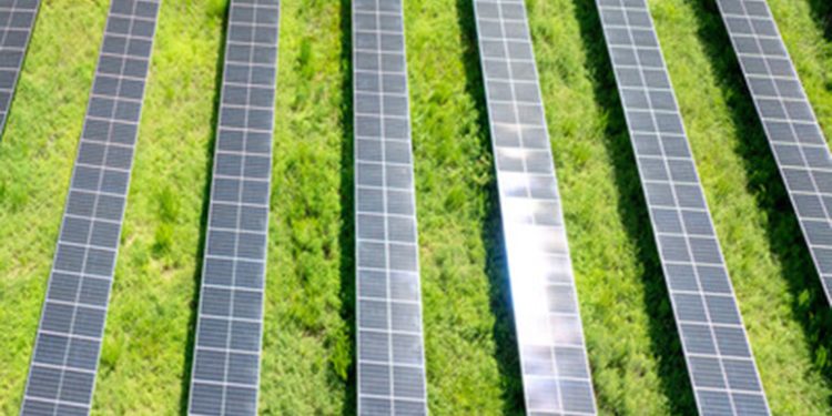 Chaberton Energy starts work on new 2.9-MW Maryland community solar project