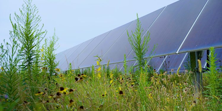 National Grid Renewables starts work on 117-MW Ohio solar project