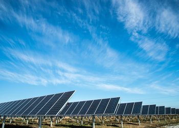 Navisun and Ampion partnering on subscription management for five community solar projects