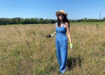 Waiting for … Approved – pv magazine USA