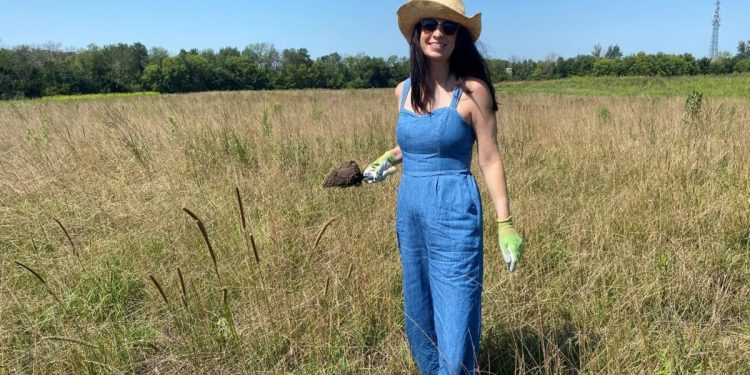 Waiting for … Approved – pv magazine USA