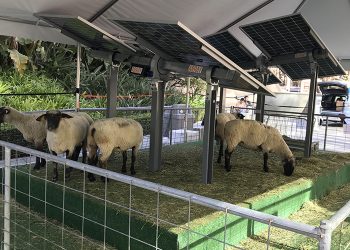 More on racking, trackers and carports at RE+ 2024