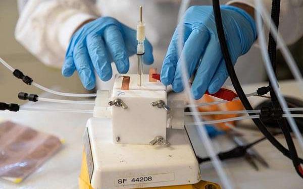 University of Michigan develops efficient system for converting CO2 into ethylene