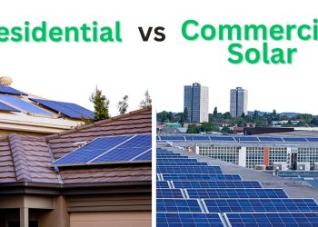 What You Need to Know