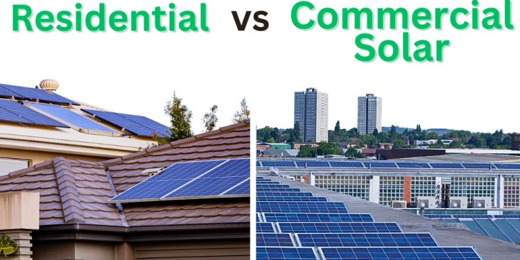 What You Need to Know