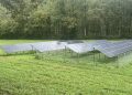 Kentucky women’s shelter expands ground-mount solar portfolio