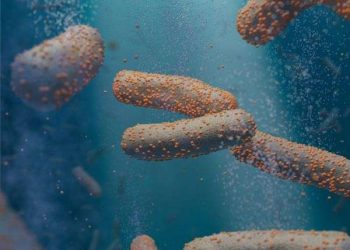 Quality control in synthetic photosynthesis validates natural light-harvesting mimicry