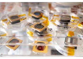 Solving interface mystery in organic solar cells makes them more efficient