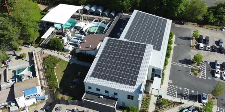 Verogy forms solar + storage development partnership with NJR Clean Energy Ventures