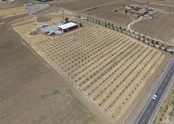 Renewable America gets go-ahead for new 2.48-MW California solar project