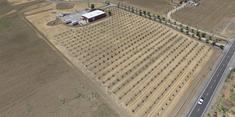 Renewable America gets go-ahead for new 2.48-MW California solar project