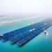World’s first gigawatt-scale offshore solar project begins operation