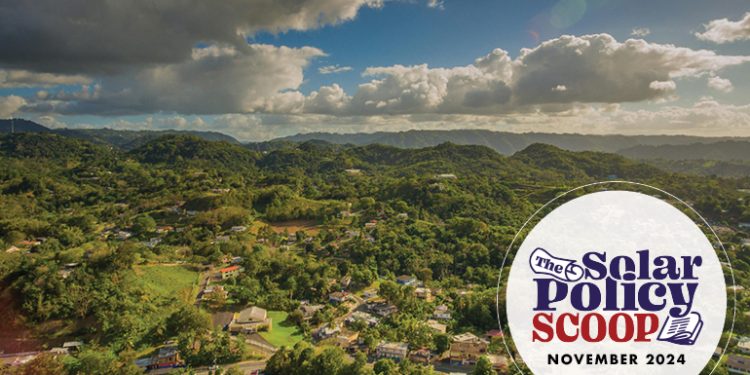 The Solar Policy Scoop: November 2024