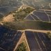 More energy and oil possible through combining photovoltaic plants with hedgerow olive groves