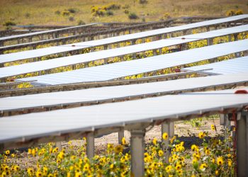 Bechtel to construct 25-MW solar array for Utah copper mine