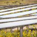 Bechtel to construct 25-MW solar array for Utah copper mine