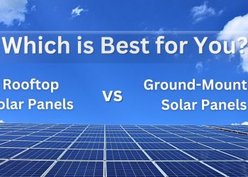 Which is Best for You?