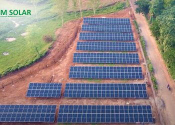 How to reduce the electricity bill of Tea Garden?