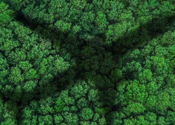 US finalizes tariff hikes on more China green tech imports