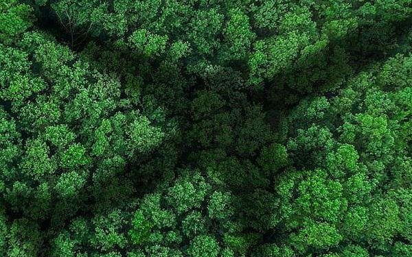 US finalizes tariff hikes on more China green tech imports