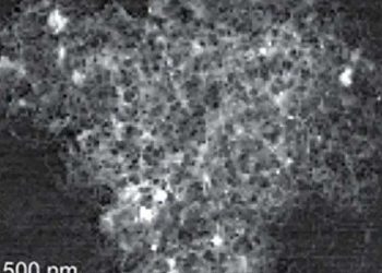 Burned rice hull ash offers sustainable boost to battery performance