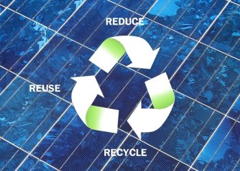 What You Need to Know