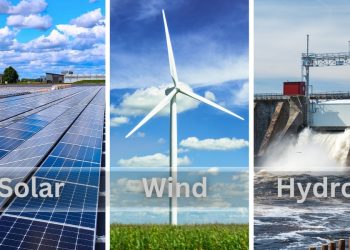 Which is Best for You?