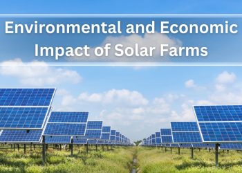 The Environmental and Economic Impact of Solar Farms in Australia