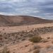 Bechtel begins construction of 226-MW Escape Solar project in Nevada