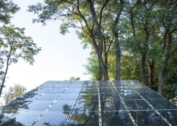 How Factories Can Reduce Their Carbon Footprint with Solar Power