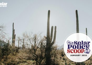 The Solar Policy Scoop: January 2025