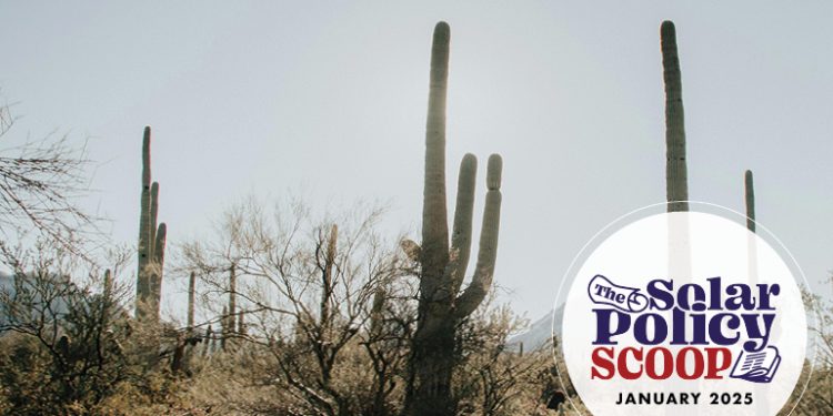 The Solar Policy Scoop: January 2025