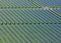 Lightsource bp energizes 288-MW Texas solar project portfolio