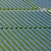 Lightsource bp energizes 288-MW Texas solar project portfolio