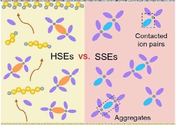 Unlocking the potential of lithium-sulfur batteries