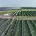 Lightsource bp completes 187-MW ground-mount solar project for Texas manufacturer