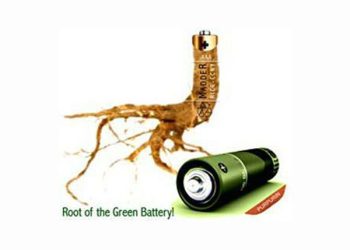 Green battery discovery turns trash into treasure