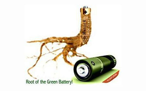 Green battery discovery turns trash into treasure